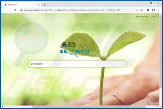 Eco Search Browser Hijacker