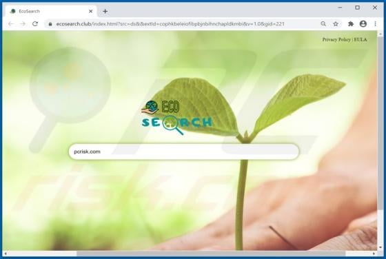 Eco Search Browser Hijacker