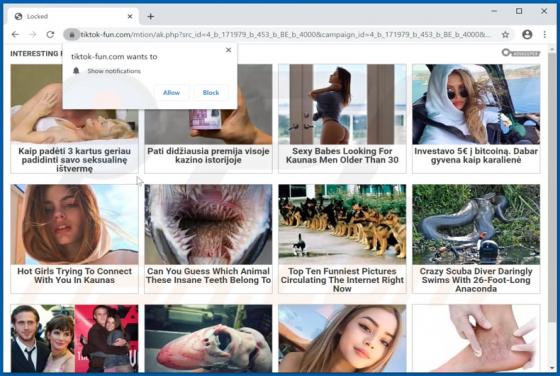 Tiktok-fun.com Ads