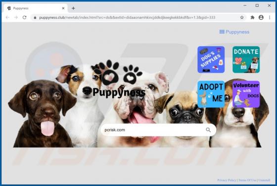Puppyness Search Browser Hijacker