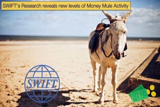 SWIFT’s Research reveals new levels of Money Mule Activity