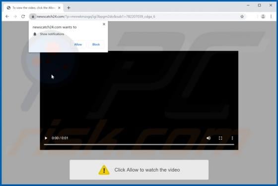 Newscatch24.com Ads