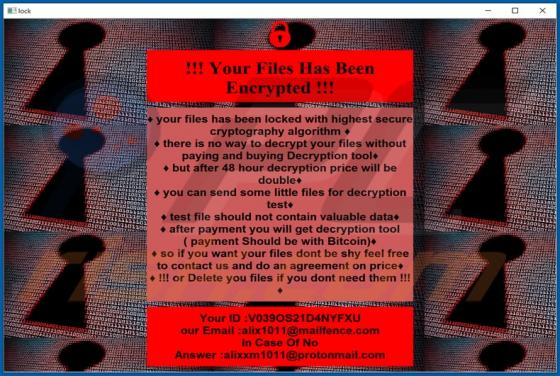 Exploit (VoidCrypt) Ransomware