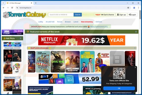 Torrentgalaxy.to Suspicious Website