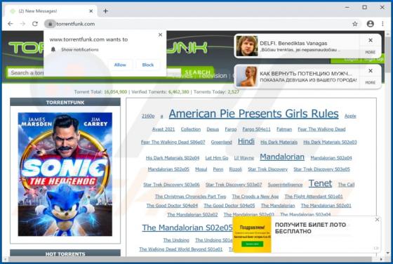Torrentfunk.com Suspicious Website
