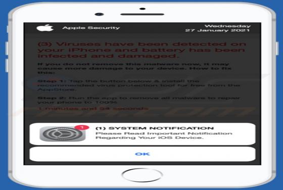 Reander.net POP-UP Scam (Mac)