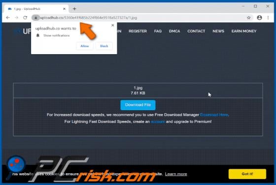 Uploadhub.co Ads