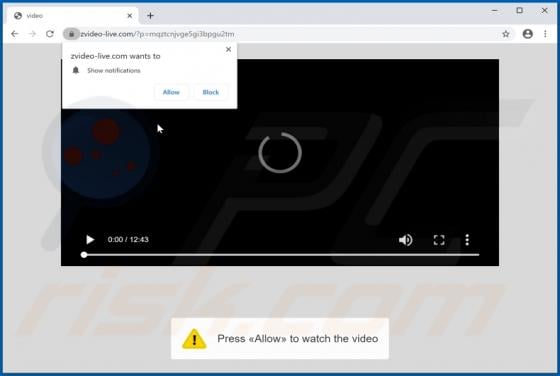 Zvideo-live.com Ads