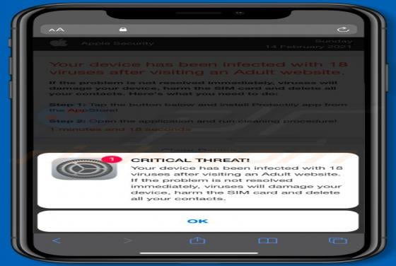 Device Infected After Visiting An Adult Website POP-UP Scam (Mac)