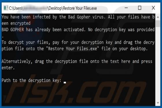 Gopher Ransomware