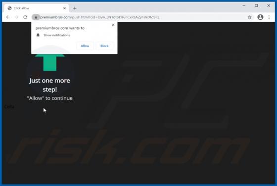 Premiumbros.com Ads