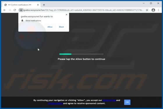Wsoyourwi.fun Ads