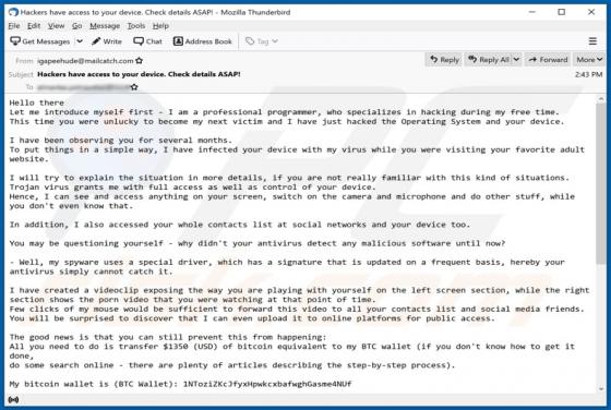 I Am A Professional Programmer Who Specializes In Hacking Email Scam