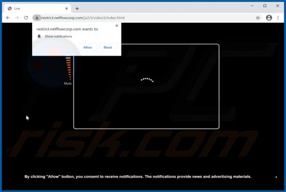 Netflowcorp.com Ads