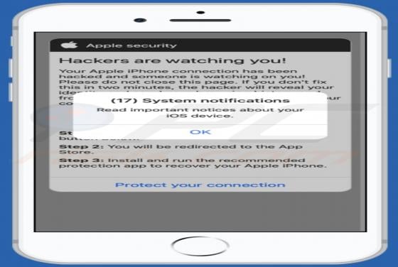 Dency.site POP-UP Scam (Mac)