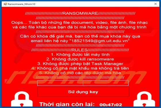 Nhom10 Ransomware