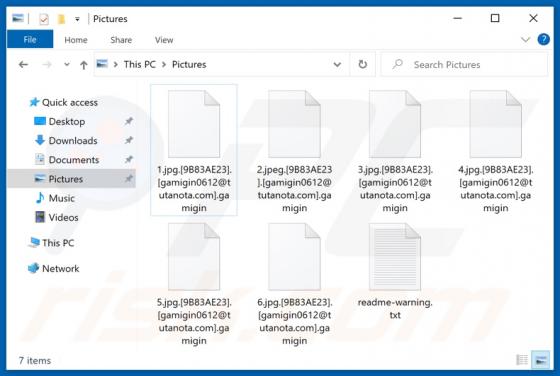 Gamigin Ransomware