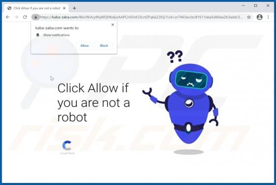 Kaba-zaba.com Ads