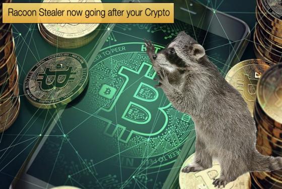 Racoon Stealer now going after your Crypto