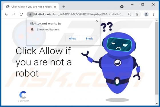 Tik-ttok.net Ads