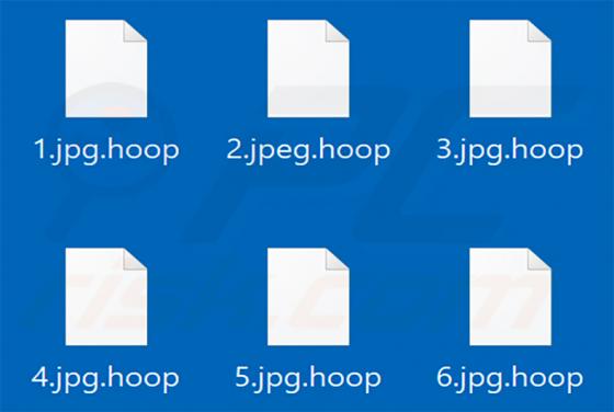 Hoop Ransomware