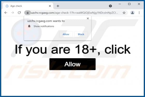 Rcgaxg.com Ads