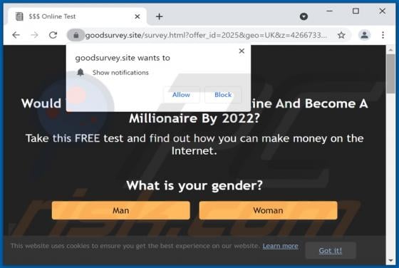 Goodsurvey.site Ads