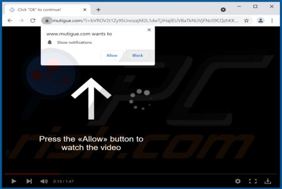 Mutigue.com Ads