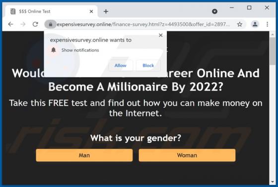 Expensivesurvey.online Ads