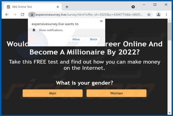 Expensivesurvey.live Ads