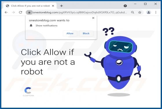 Onestoreblog.com Ads