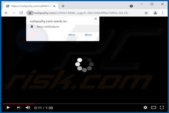 Rushpushy.com Ads