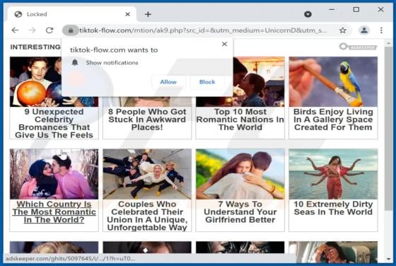 Tiktok-flow.com Ads