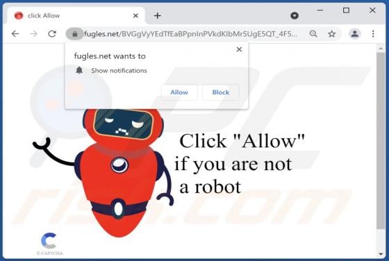 Fugles.net Ads