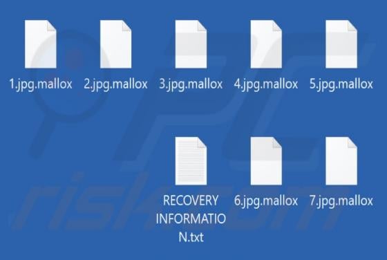 Mallox Ransomware