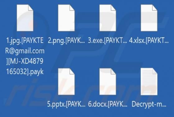 Payk Ransomware