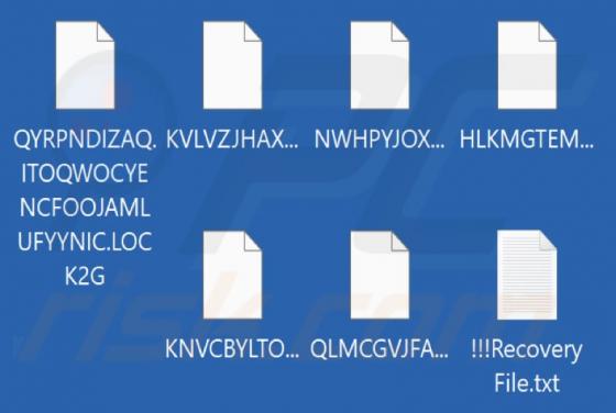 LOCK2G Ransomware