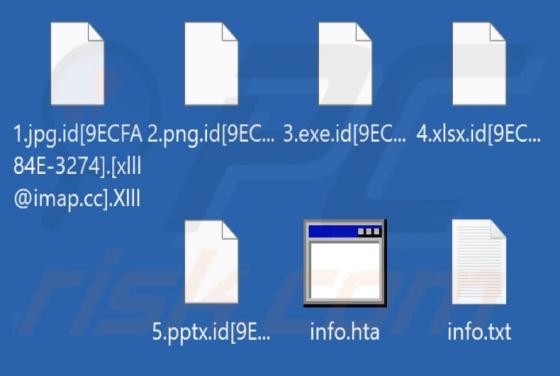 XIII Ransomware