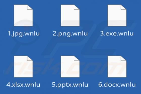 Wnlu Ransomware