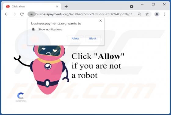 Businesspayments.org Ads