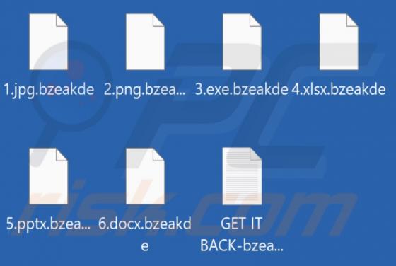 ALPHV (BlackCat) Ransomware