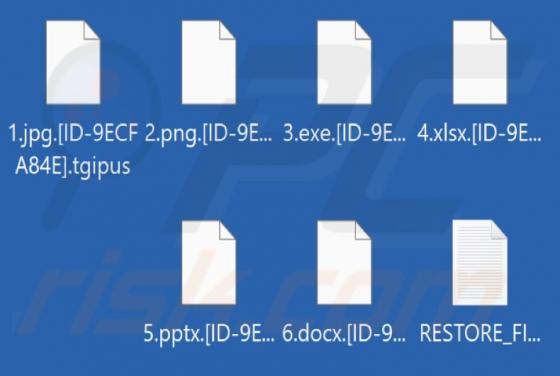 Tgipus Ransomware
