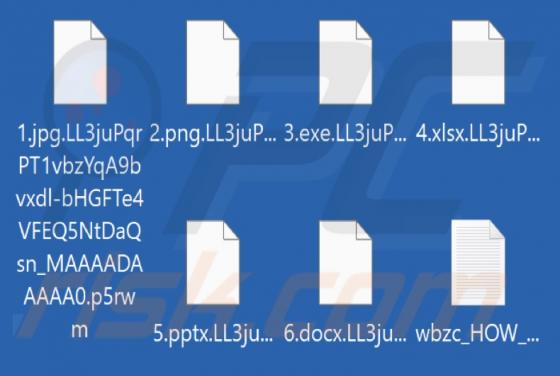 P5rwn Ransomware