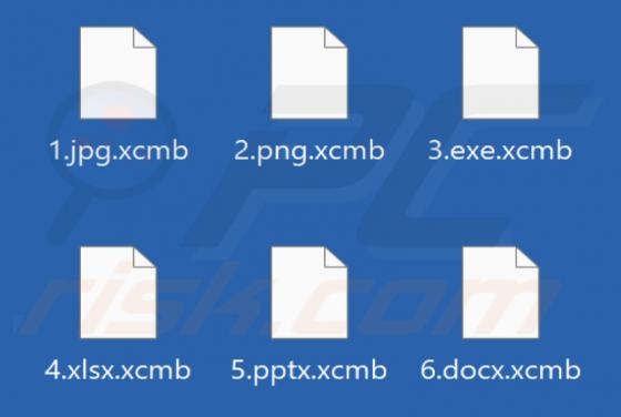 Xcmb Ransomware