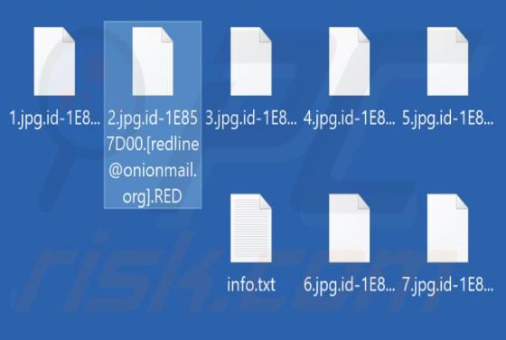 RED Ransomware