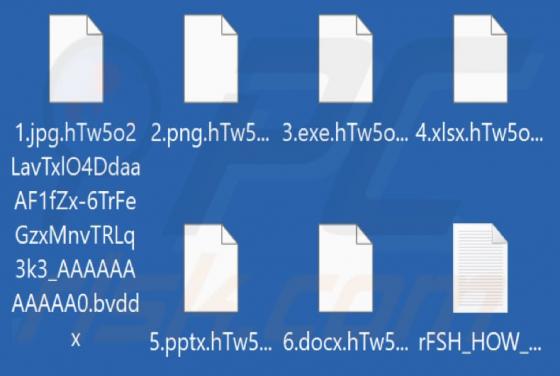 Bvddx Ransomware