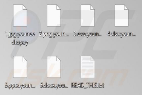 Youneedtopay Ransomware