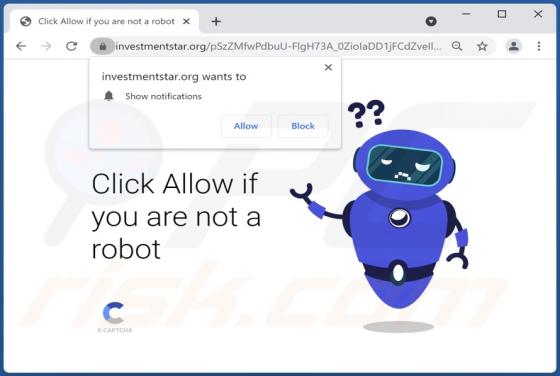 Investmentstar.org Ads