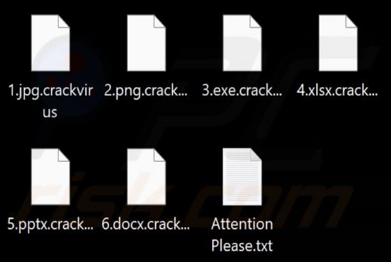 Crackvirus Ransomware
