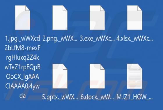 4ywda Ransomware